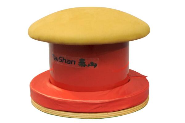 全旋训练器 (B)(图1)