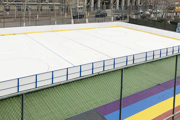 超级仿真冰场(图1)