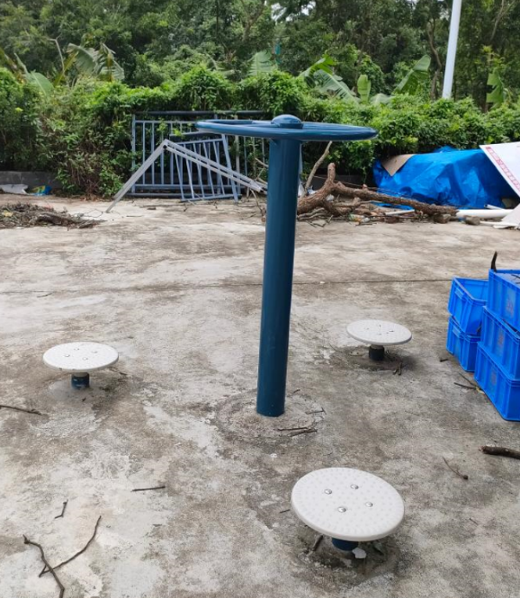 桂南村禾虾(图1)