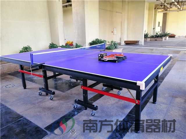 晴朗明珠（乒乓球台）(图2)