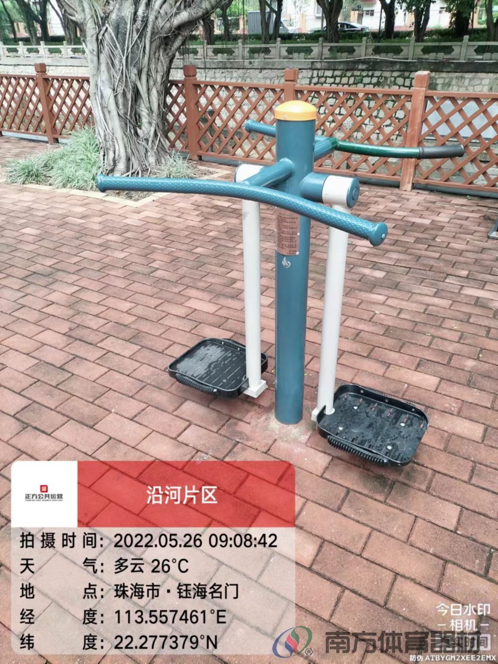 凤凰河社区公园银桦段(图16) 凤凰河社区公园银桦段(图16)