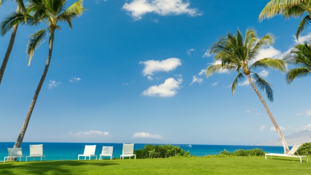 天博网站登录welcome小篮球结合器材运球