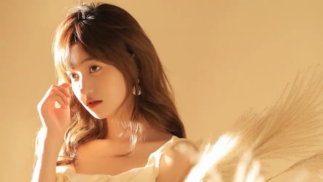 天博·体育登录入口健身器材弧形腹肌板